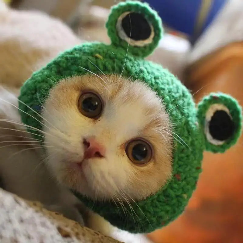 Funny Pet Hats for Cats and Dogs Collection