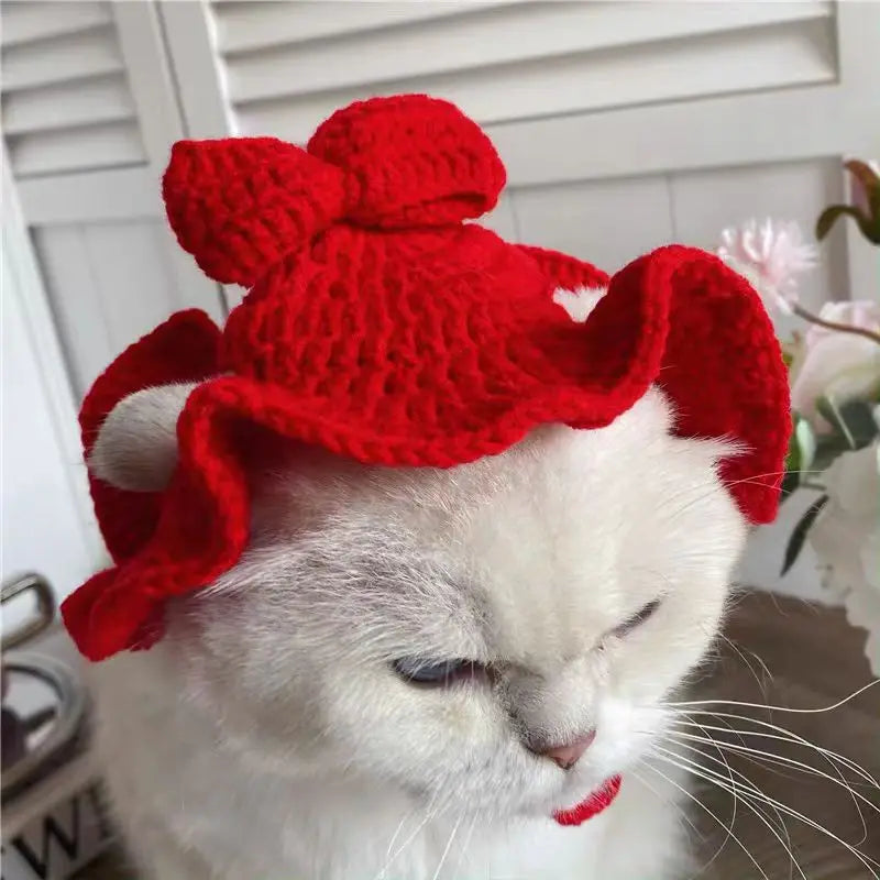 Funny Pet Hats for Cats and Dogs Collection