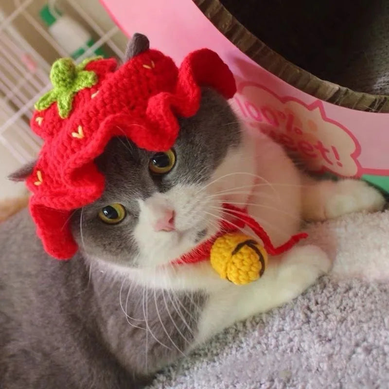 Funny Pet Hats for Cats and Dogs Collection