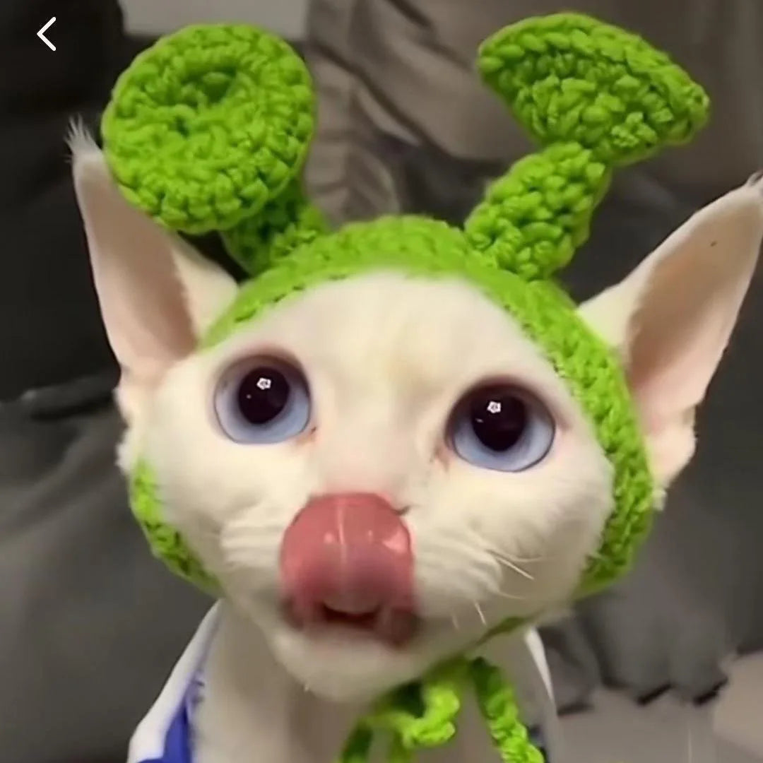 Funny Pet Hats for Cats and Dogs Collection