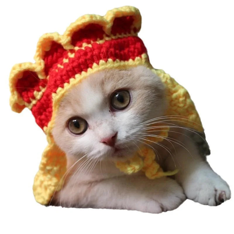 Funny Pet Hats for Cats and Dogs Collection
