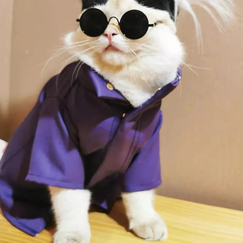 Gojo Satoru Cat Cosplay Costume by Zoomies & Co