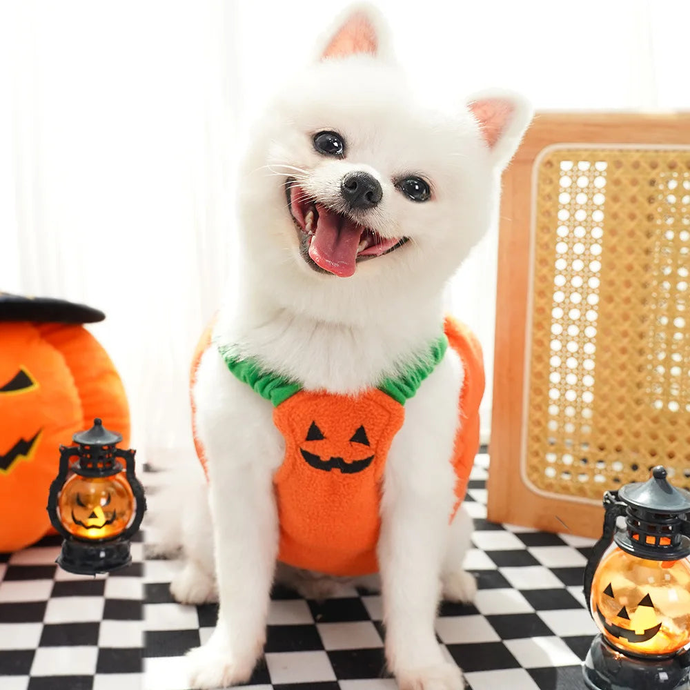 Halloween Pumpkin Dog Costume for Pets
