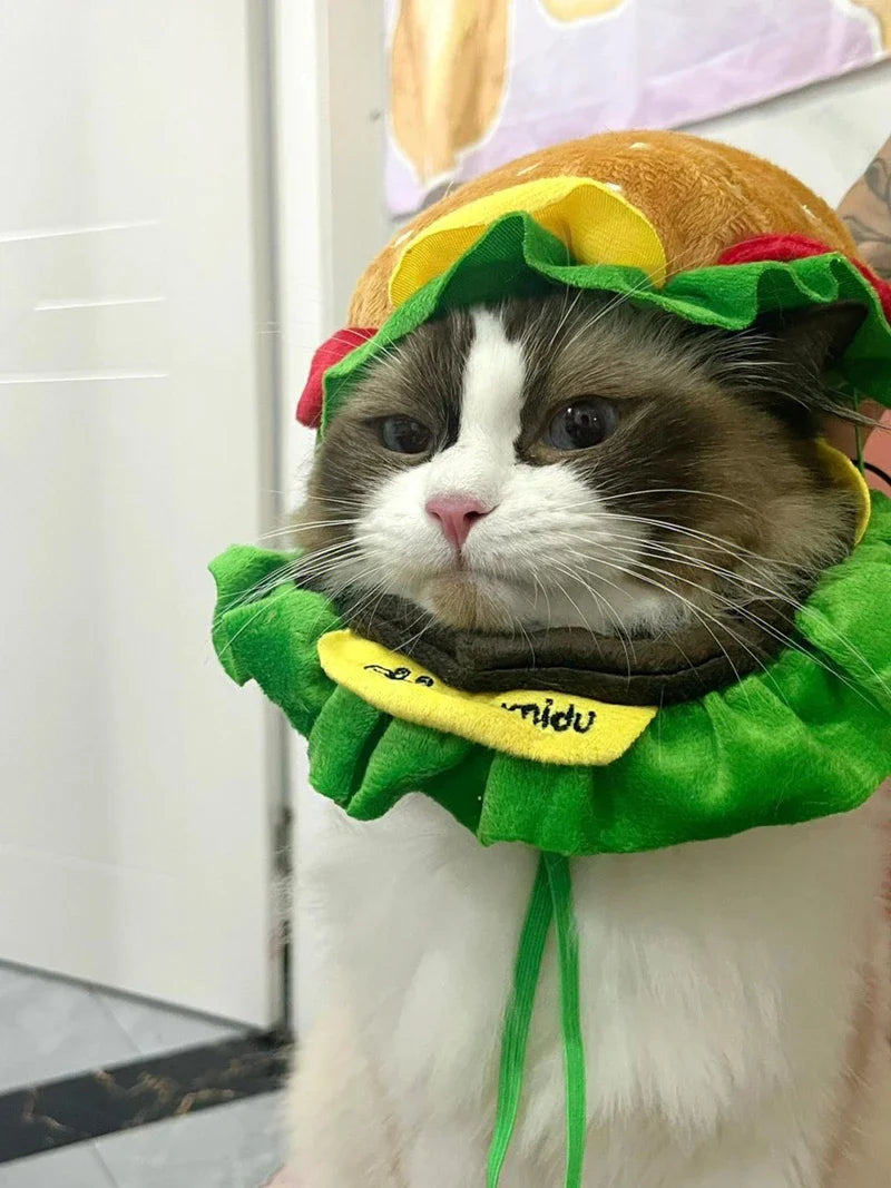 Halloween Pet Burger Costume