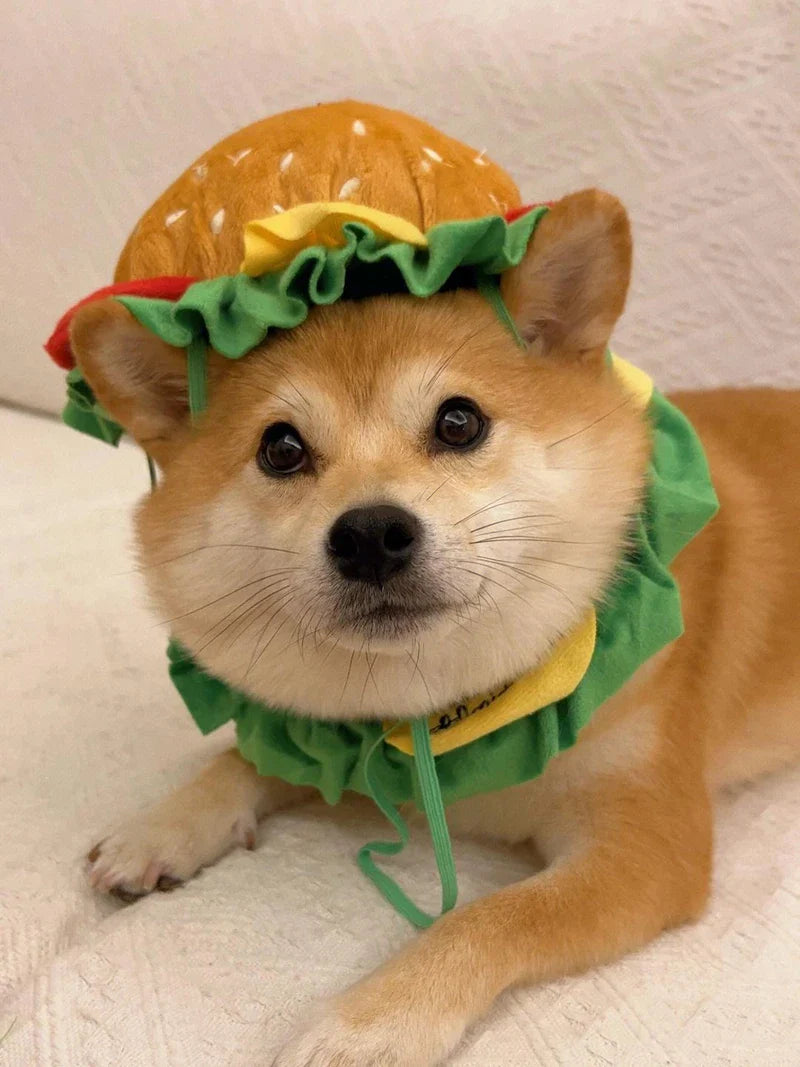 Halloween Pet Burger Costume