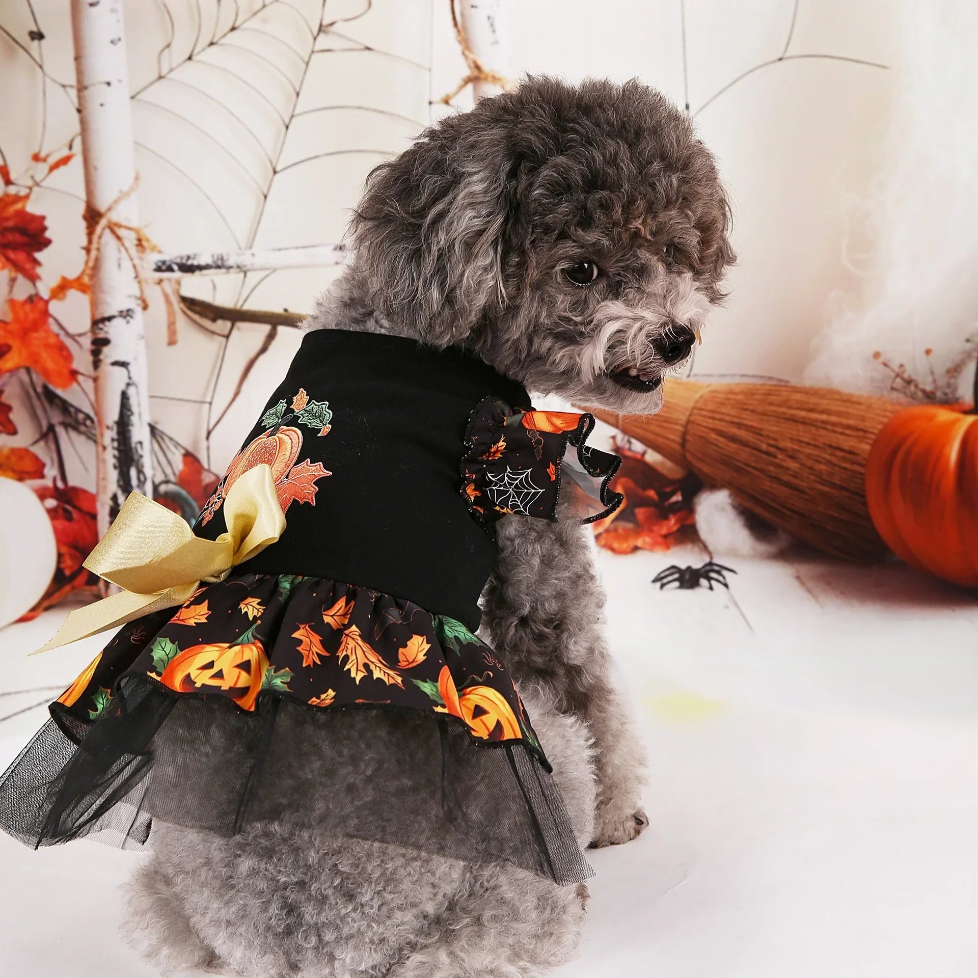 Halloween Pet Costumes for Festive Fun