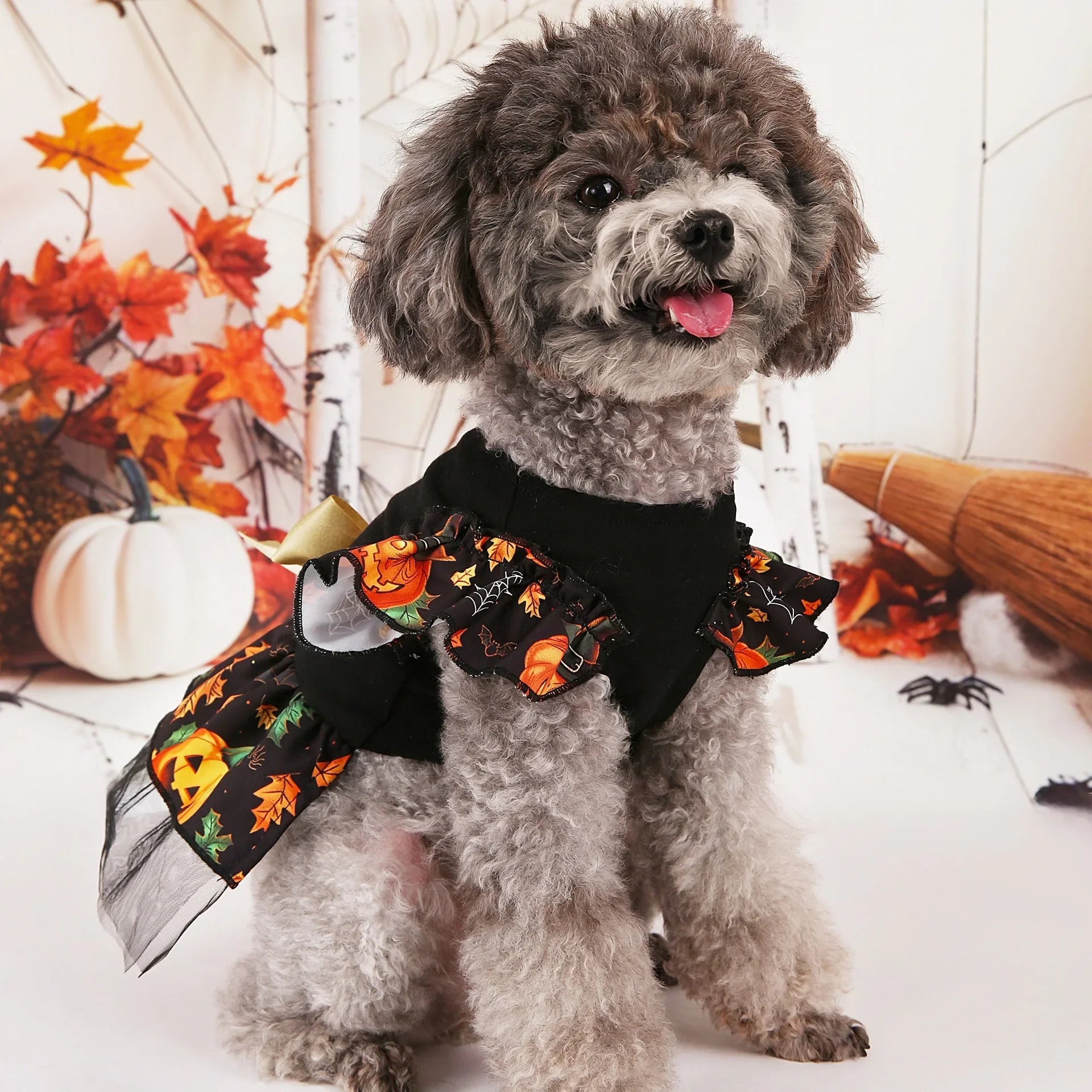 Halloween Pet Costumes for Festive Fun