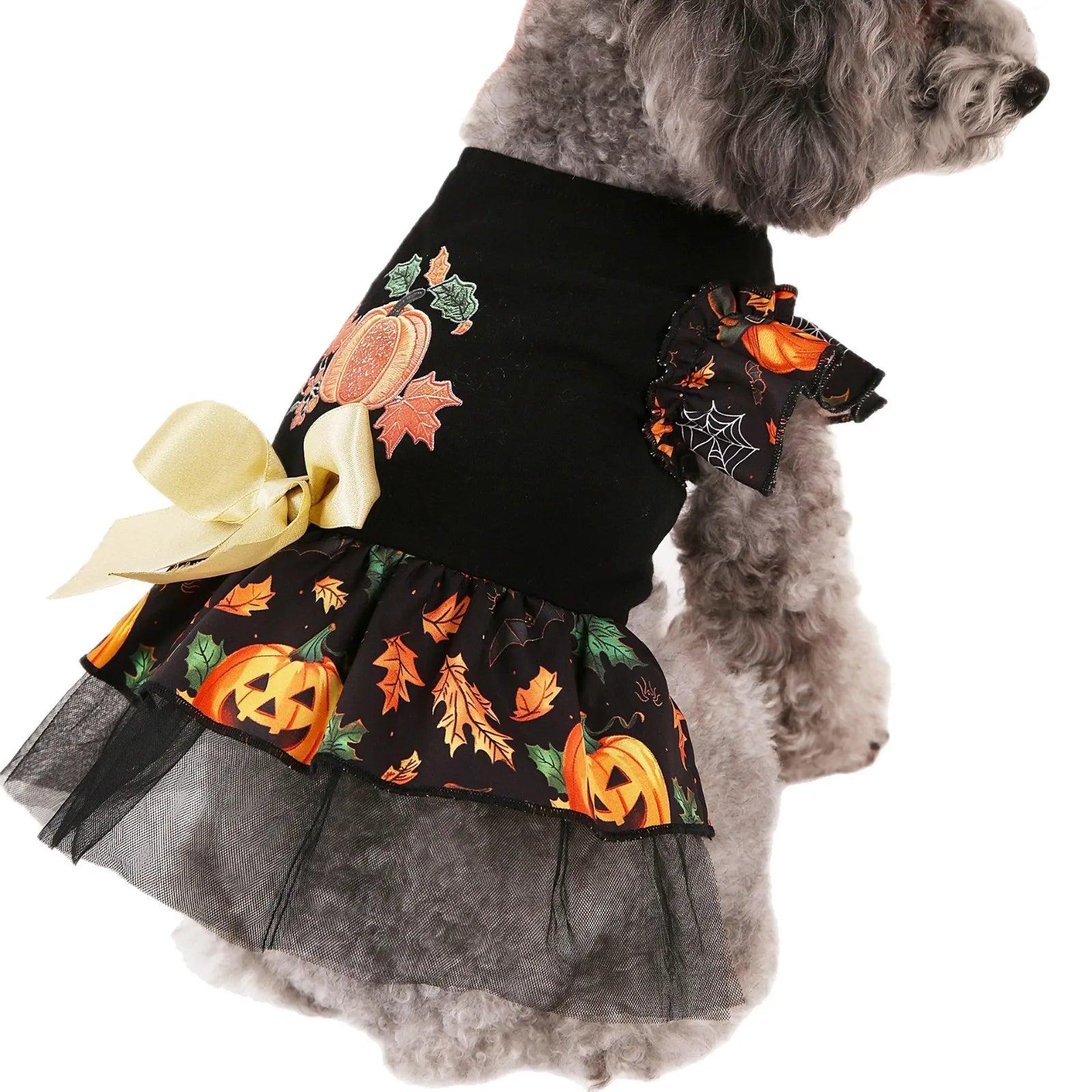 Halloween Pet Costumes for Festive Fun