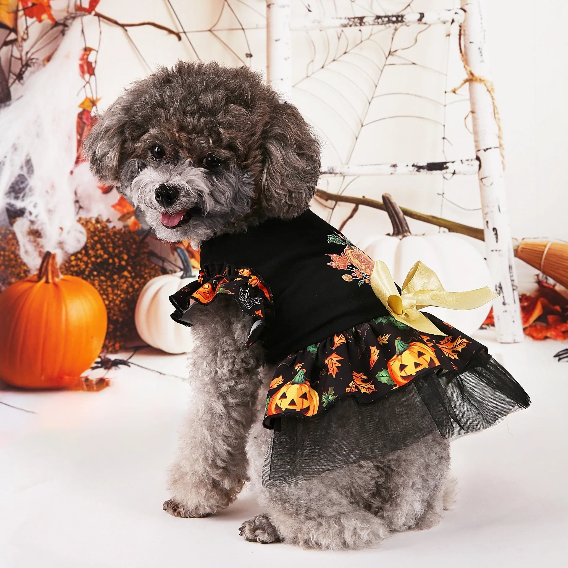 Halloween Pet Costumes for Festive Fun