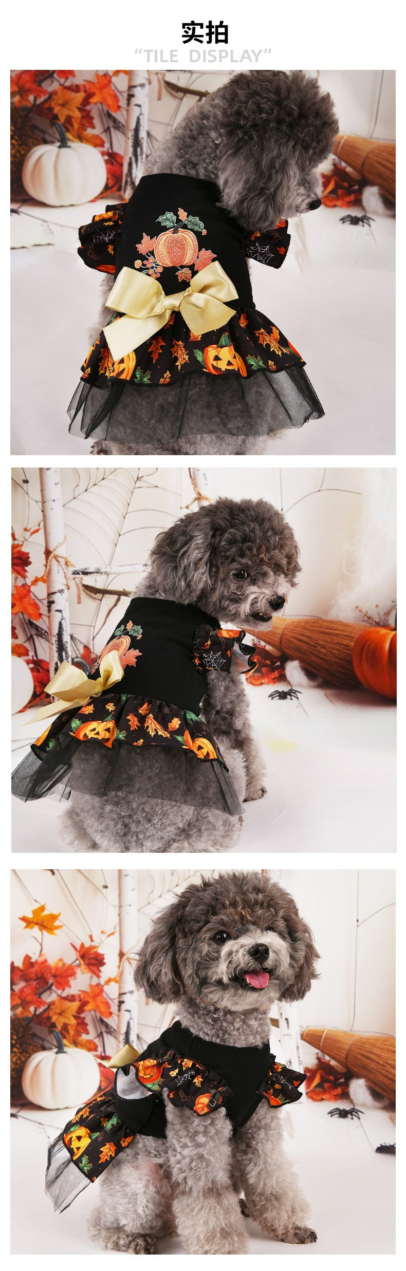 Halloween Pet Costumes for Festive Fun