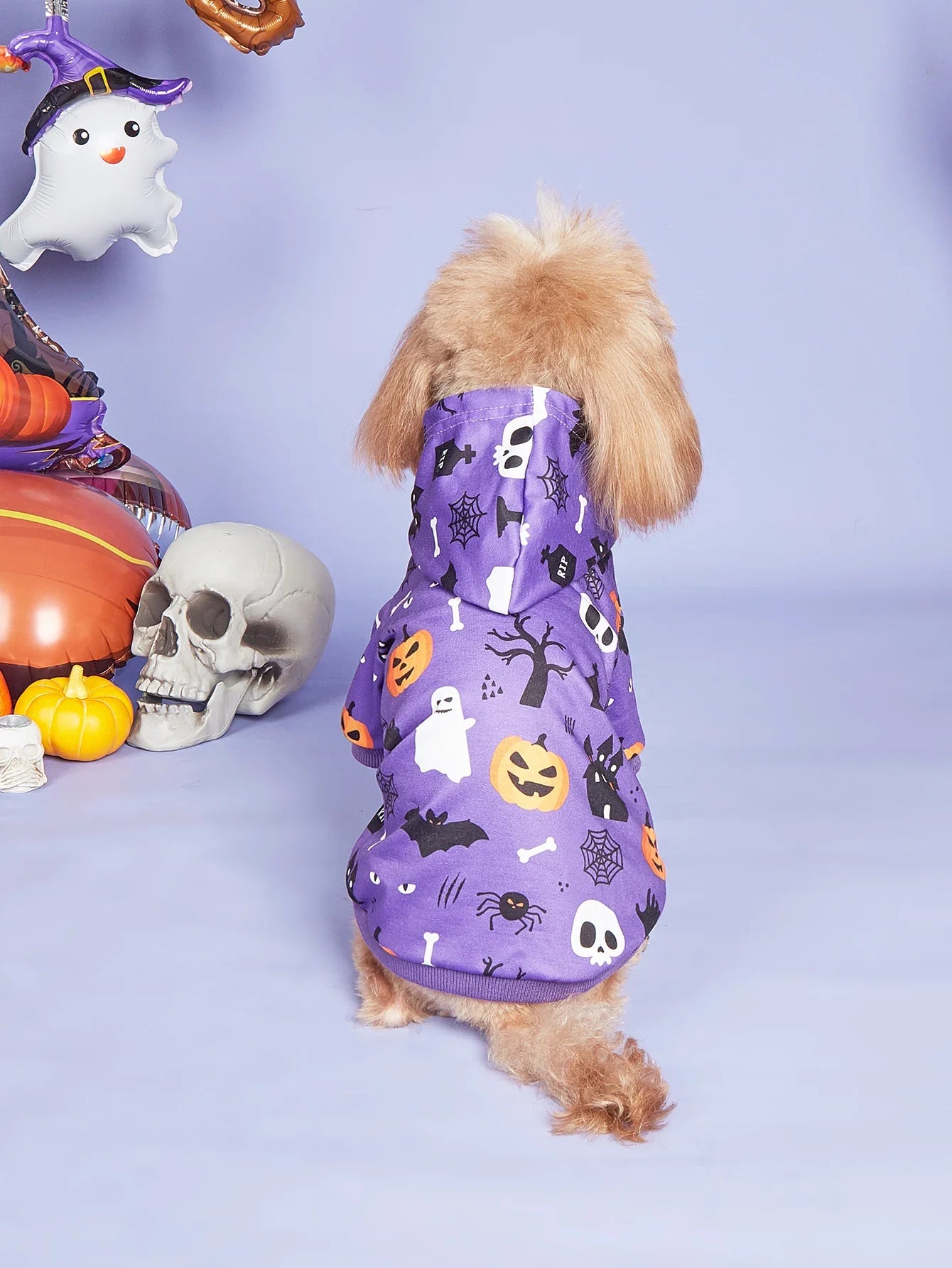 Halloween Dog Costumes for Small Dogs