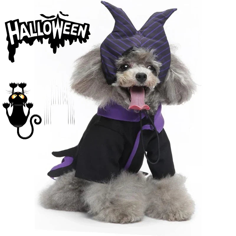 Halloween Dog Witch Costume for Pets