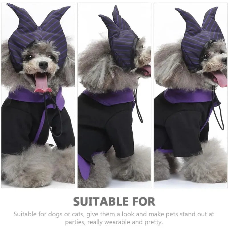 Halloween Dog Witch Costume for Pets