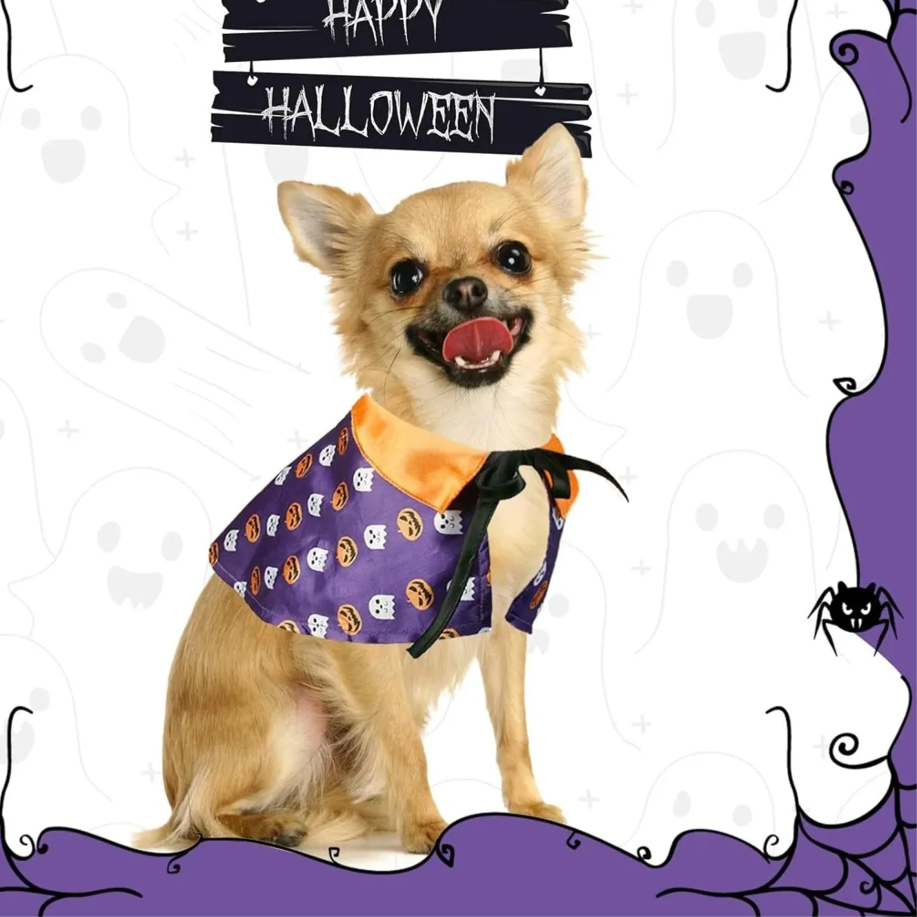 Halloween Pet Costume for Cats and Dogs