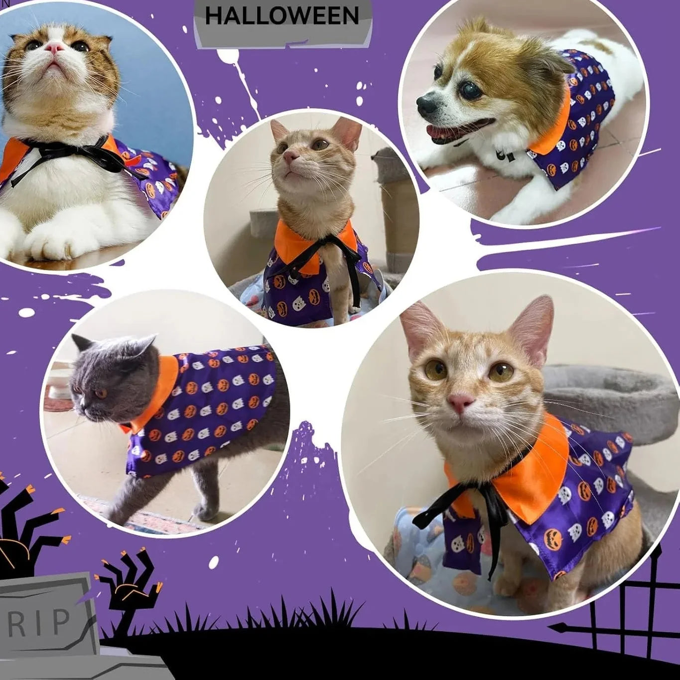 Halloween Pet Costume for Cats and Dogs