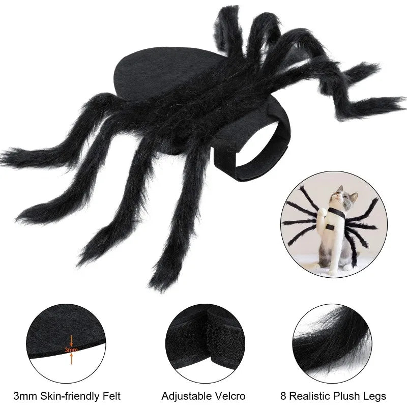 Halloween Spider Costume for Pets