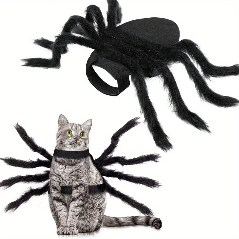 Halloween Spider Costume for Pets