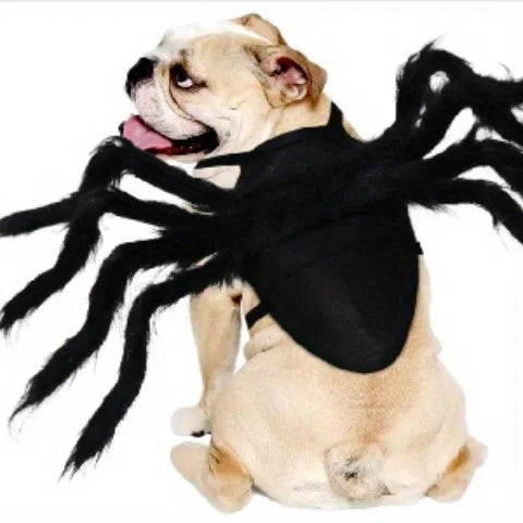 Halloween Spider Costume for Pets