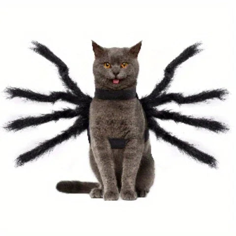 Halloween Spider Costume for Pets