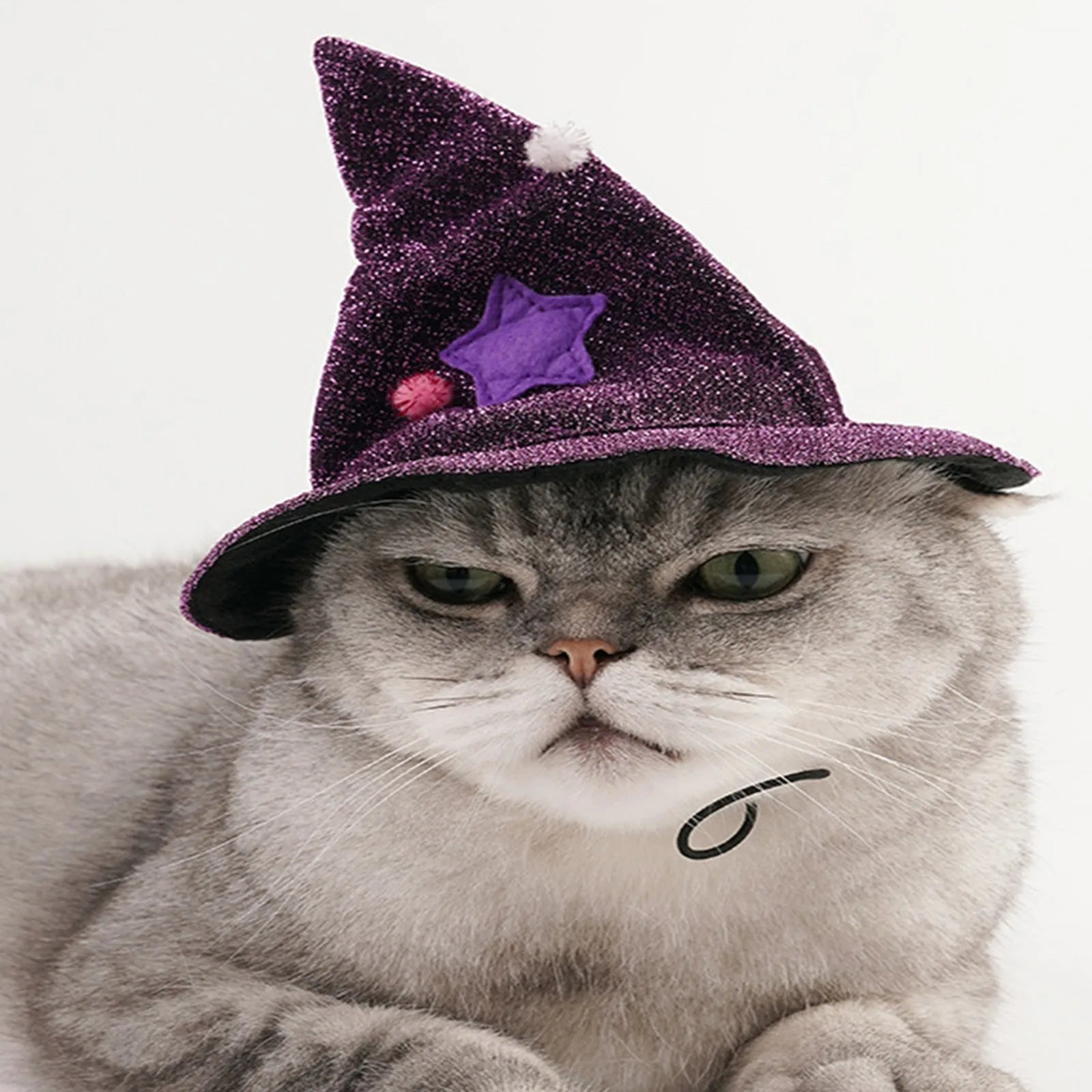 Halloween Witch Costume for Pets