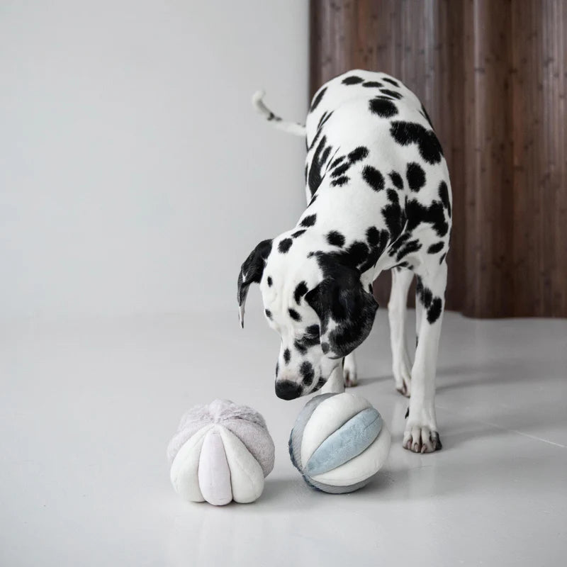 squeaky snuffle ball