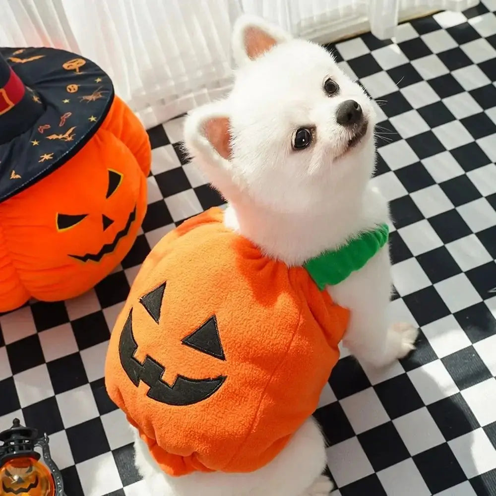 Dog Pumpkin Costume Halloween Outfit