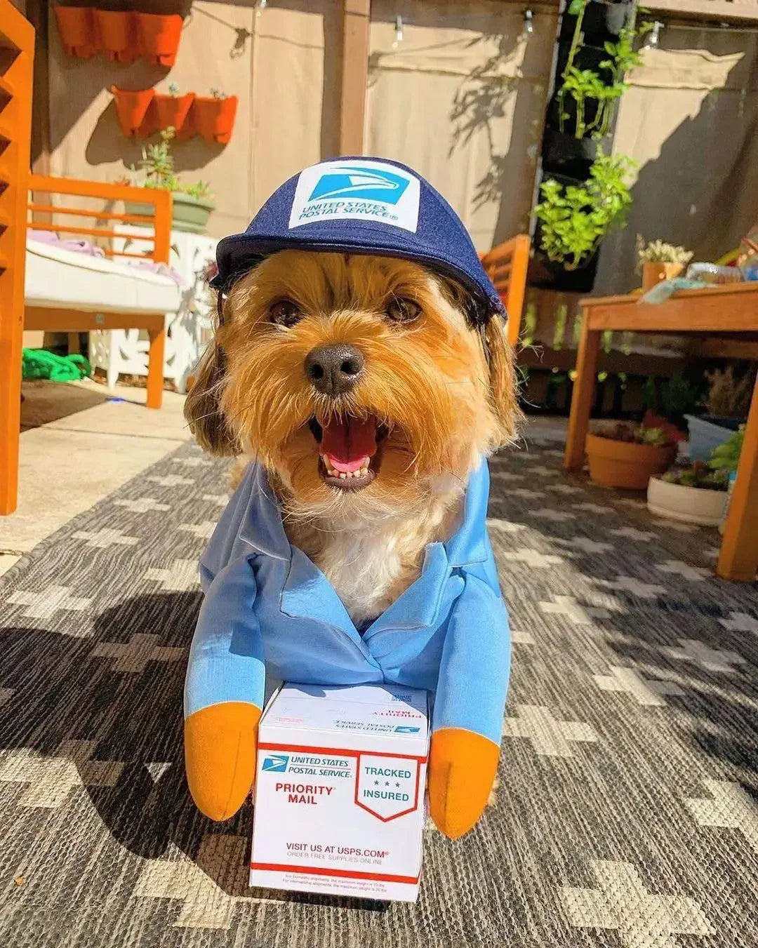 Pet Courier Costume for Dogs - Fun Outfit