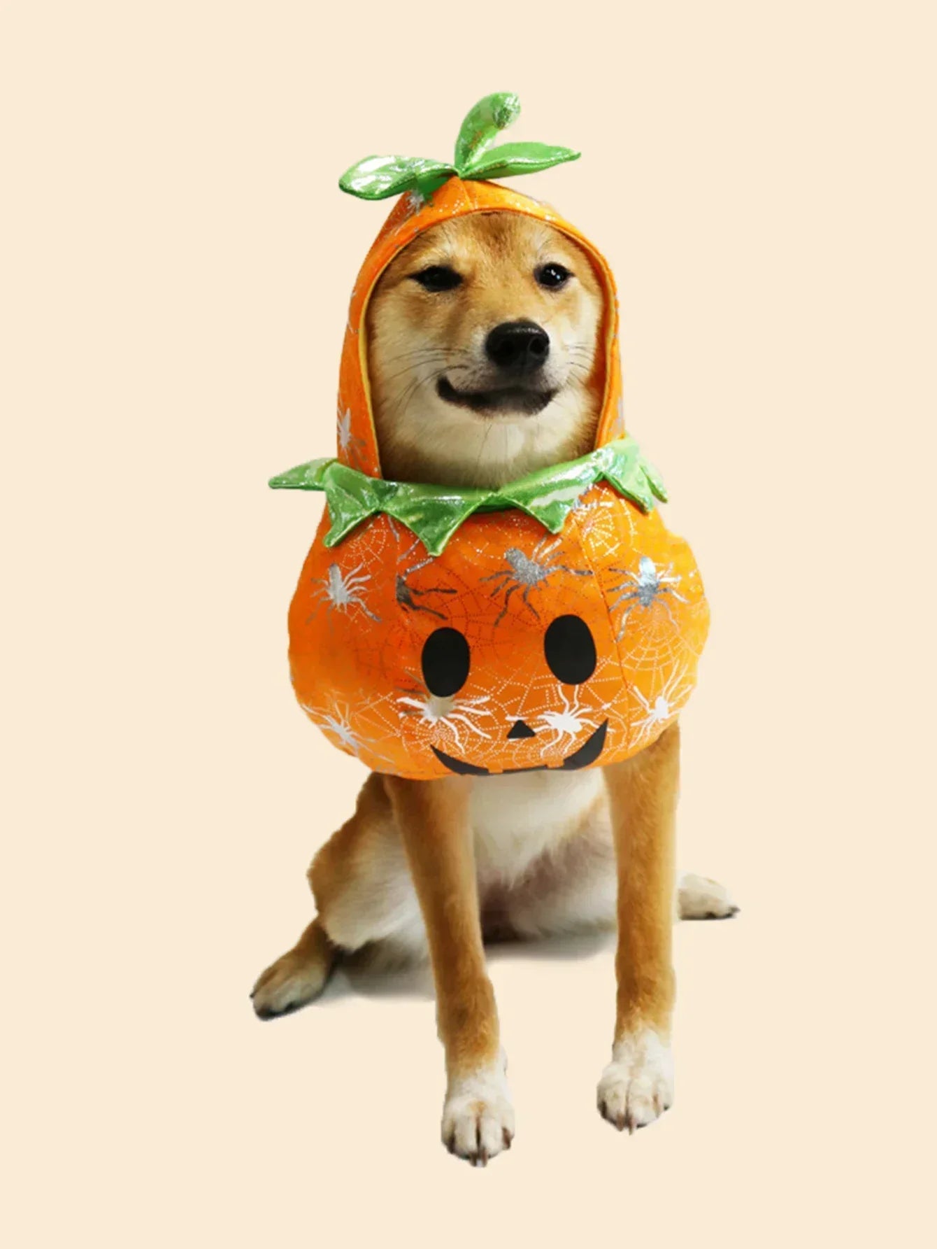Pet Pumpkin Halloween Costume for Dogs
