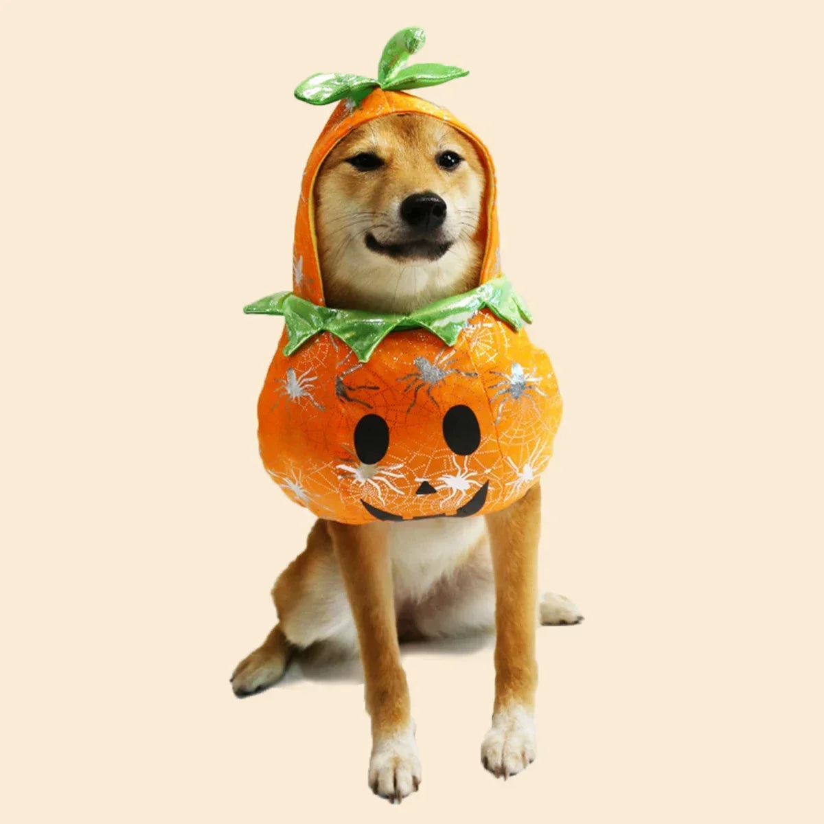 Pet Pumpkin Halloween Costume for Dogs