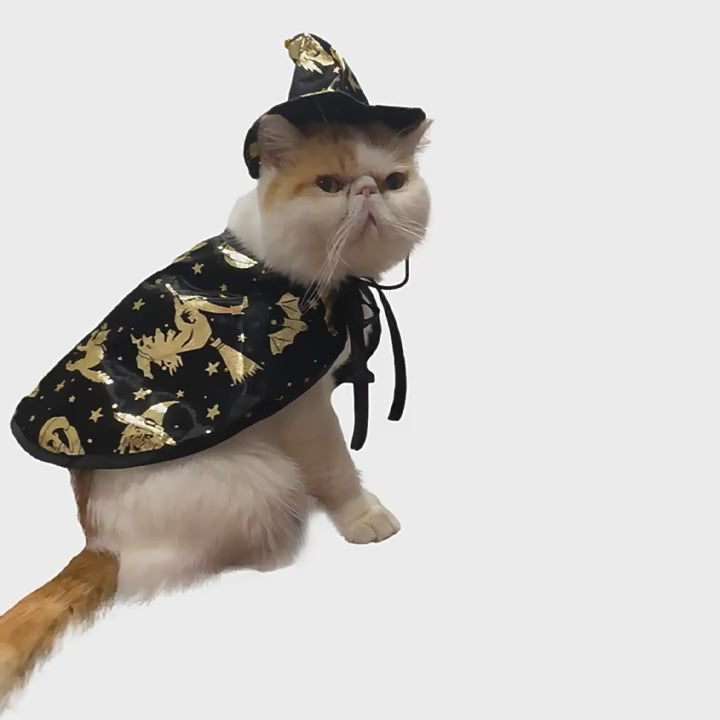 Costume of Halloween witch cape, cat wizard cape, pet cape, festival costume, transformation costume, clothing