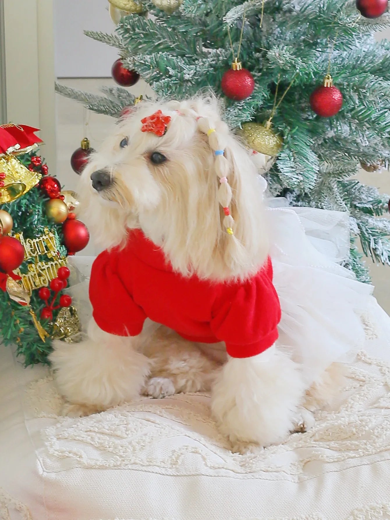 Red Tweed Dog Dress with Lace Back Bow