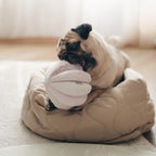 squeaky snuffle ball
