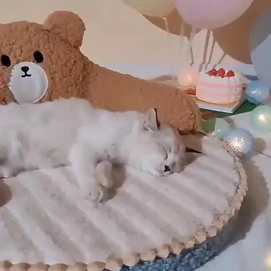 Cat (Dog) Bed