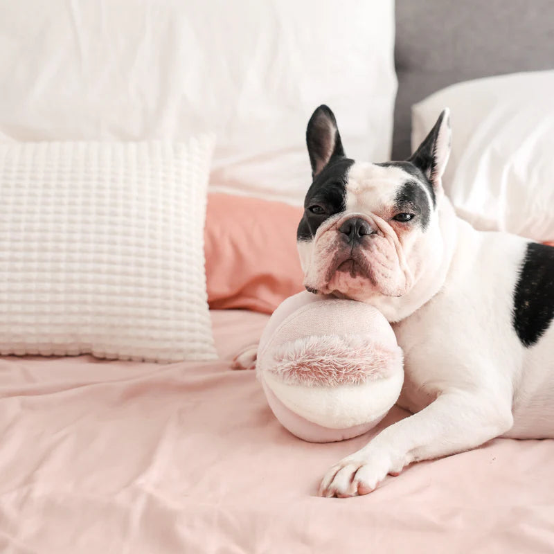 squeaky snuffle ball