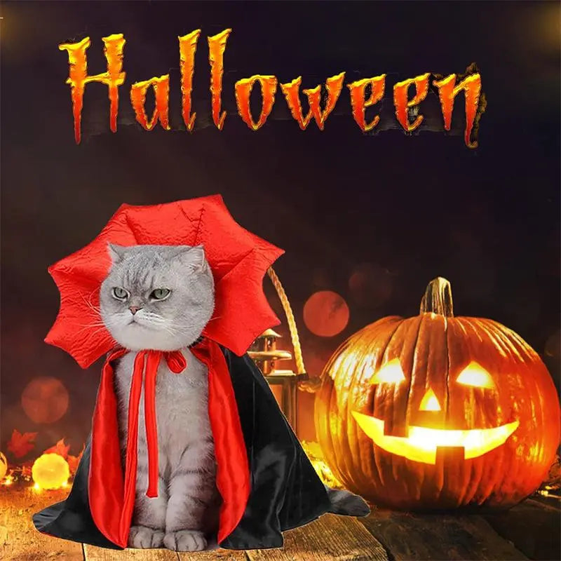 Magical Witch Cape for Halloween Vampire Cat Dog Costumes