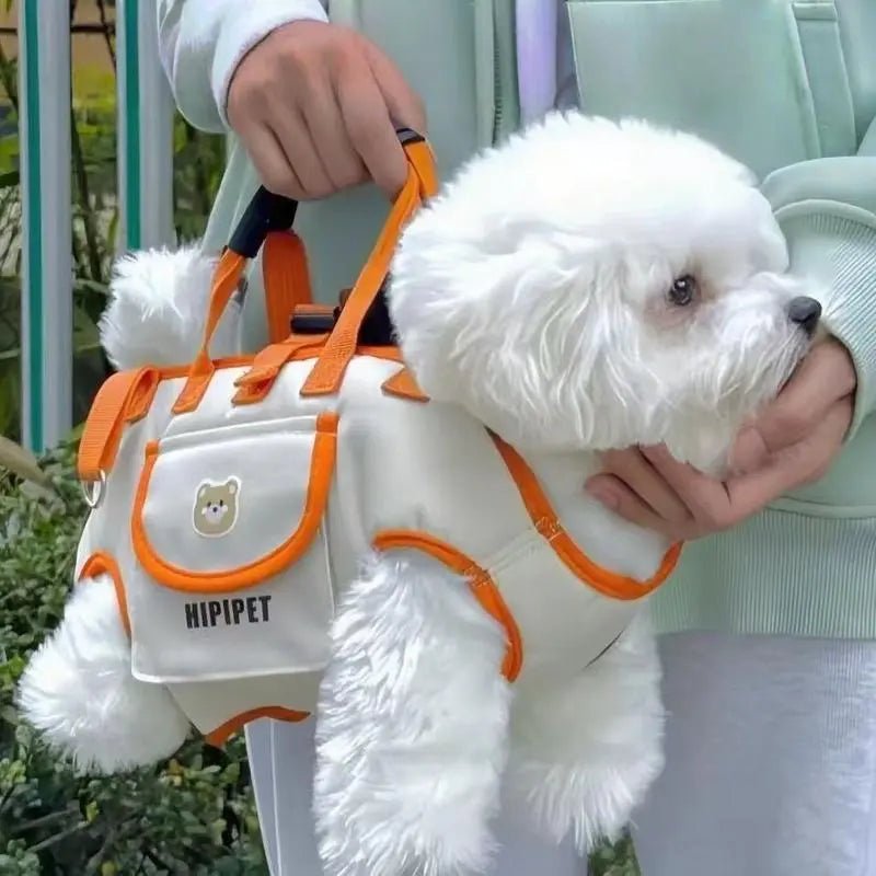 3-in-1 pet carrier and leash for easy travel Backpack-style dog walker with hands-free carrying and built-in storage space