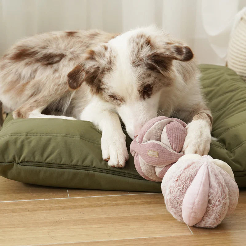 squeaky snuffle ball