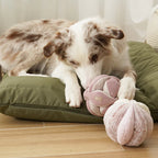 squeaky snuffle ball