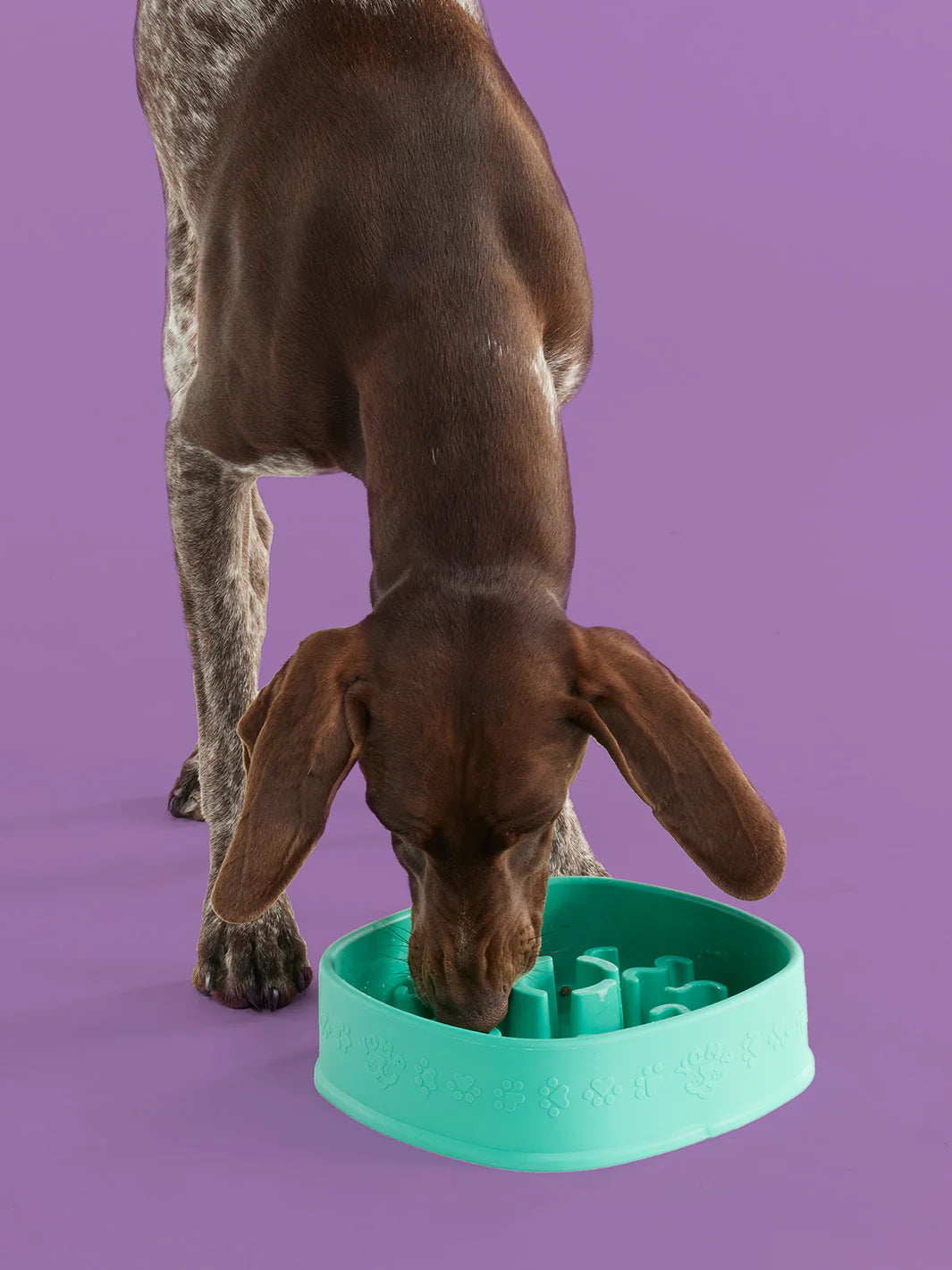 BetterFeeder