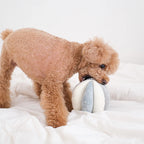 squeaky snuffle ball