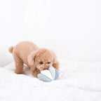 squeaky snuffle ball