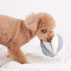 squeaky snuffle ball
