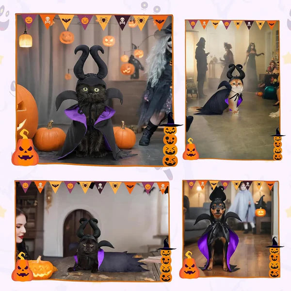 Halloween Witch-Shaped Costume for Cats & Dogs