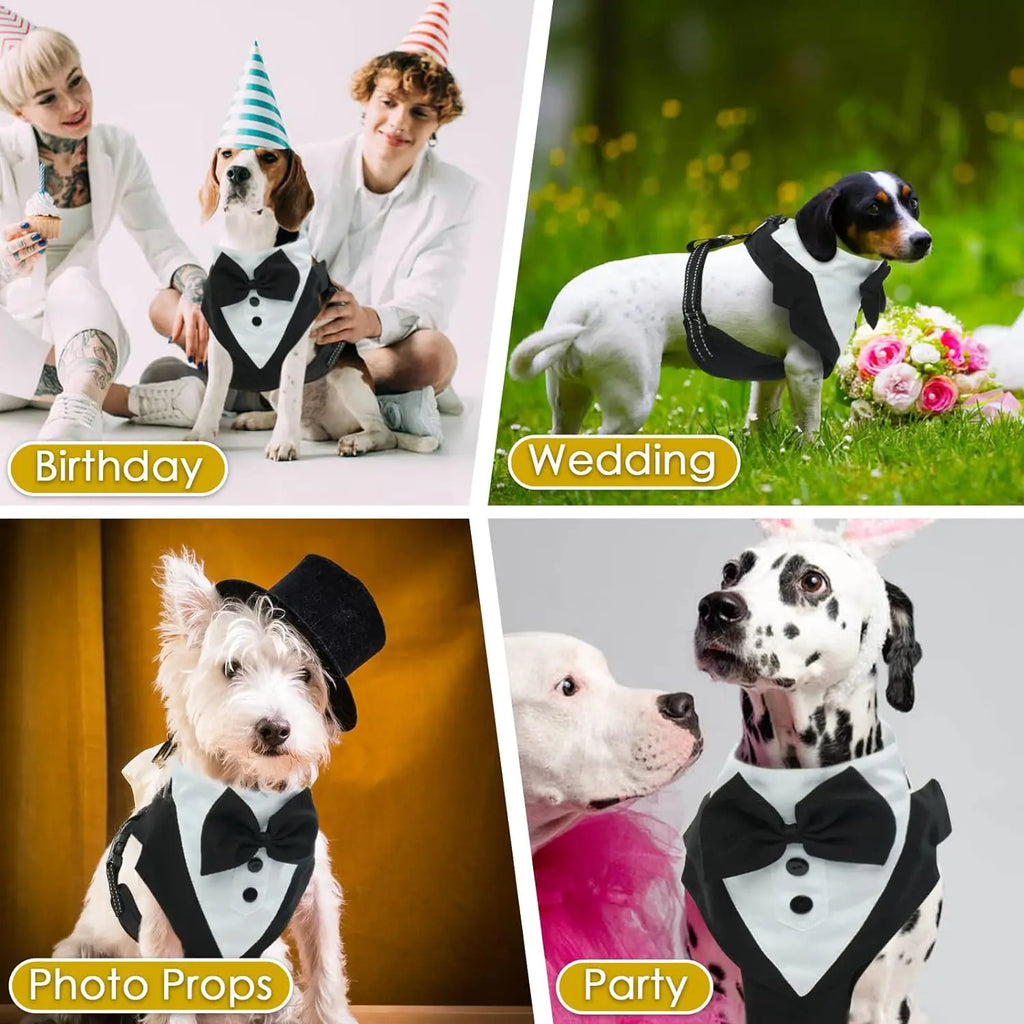 Dog Tuxedo Dress Set