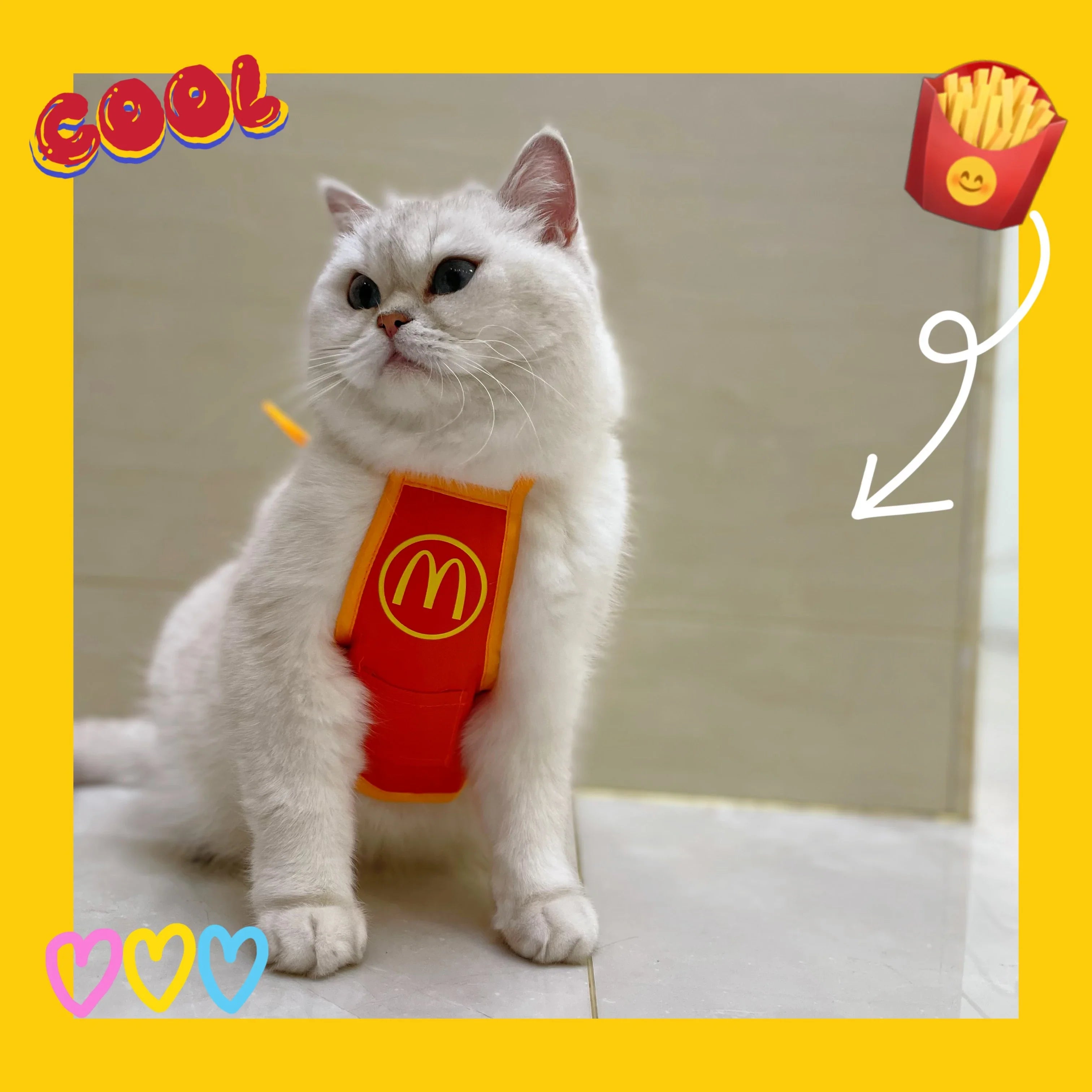 Halloween Pet Burger Costume