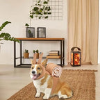 Halloween Snail Costume for Pets