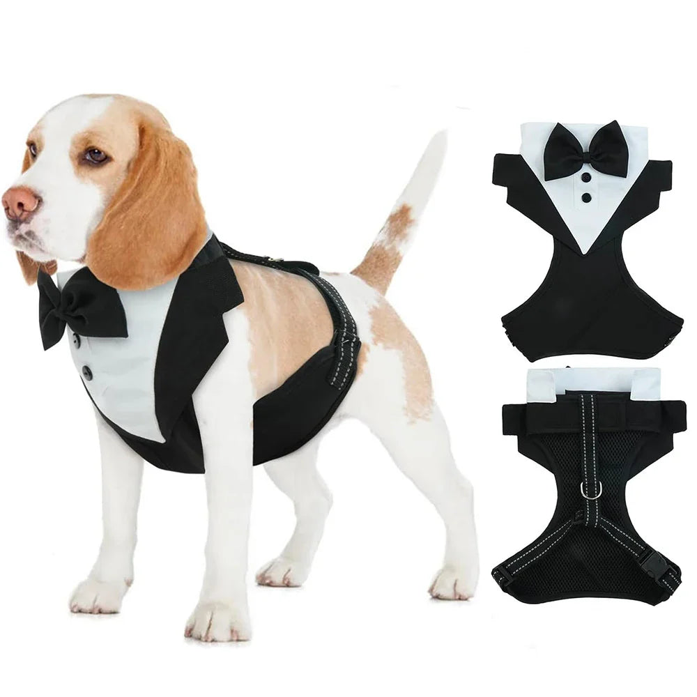 Dog Tuxedo Dress Set
