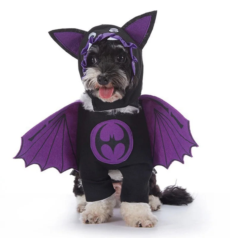 Bat Costume for Dogs - Spooky & Stylish