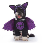 Bat Costume for Dogs - Spooky & Stylish