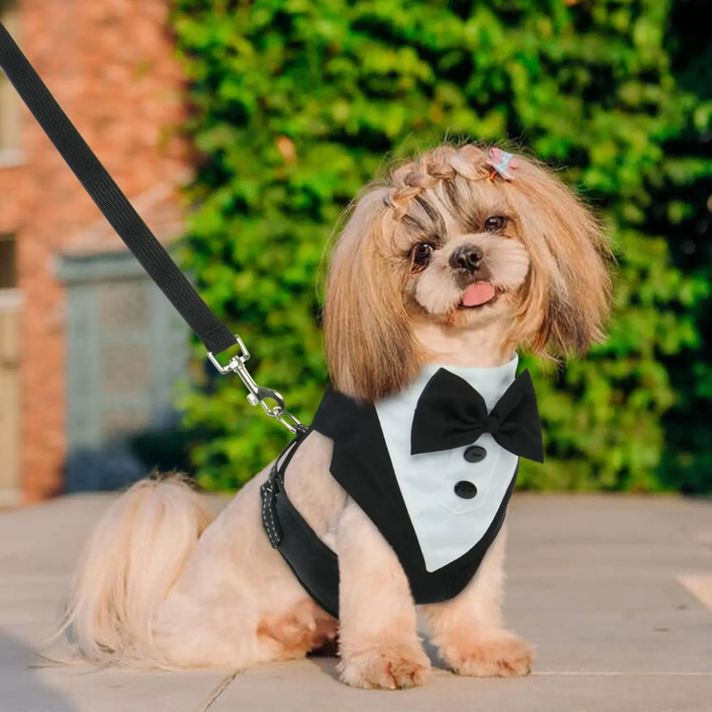 Dog Tuxedo Dress Set